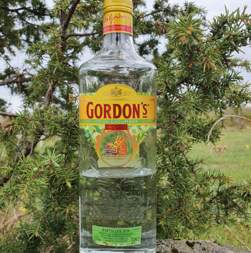 Gordon’s Gin Crisp Cucumber (37,5%)